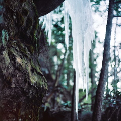 Ice on the Sheltowee Trace